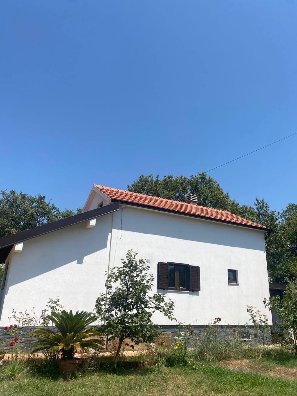 Villa Shu Krimovica Екстериор снимка
